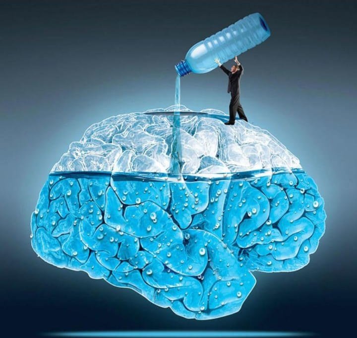 Conceptual illustration of water filling the brain — the human brain is roughly 75 percent water.